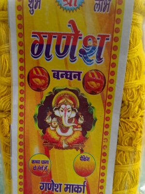 गणेश पूजा जनऊ